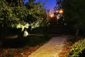 פרויקט צור הדסה