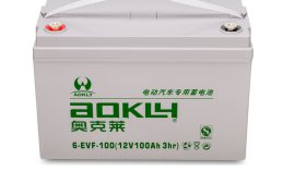 מצבר ג'ל פריקה עמוקה 6 EVF100 Aokly